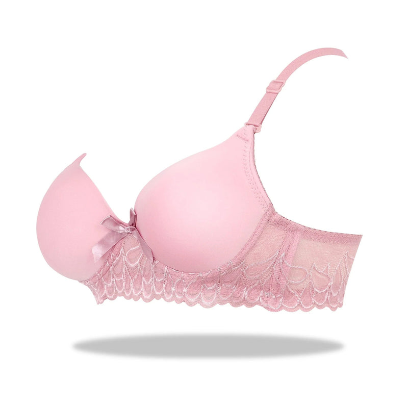 Foam Padded Bra & Pantie Embroidery Bras & Sheer Pants Lingerie Outfits (Pink)