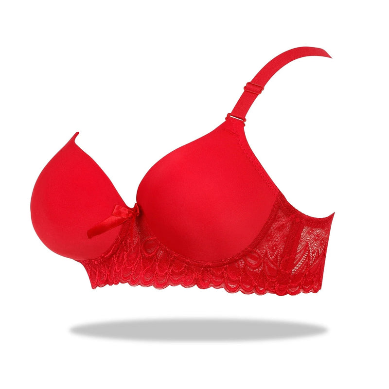 Foam Padded Bra & Pantie Embroidery Bras & Sheer Pants Lingerie Outfits (Red)