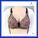 Cheetah Padded Bra Set