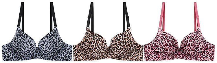 Cheetah Padded Bra Set